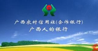 廣西農(nóng)村信用社理事長(zhǎng)韋家干、主任李燕、唐誠(chéng)希、歐澤馨等領(lǐng)導(dǎo)班子