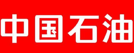 中國(guó)石油廣西石化公司總經(jīng)理雍瑞生簡(jiǎn)歷，廣西石化領(lǐng)導(dǎo)班子