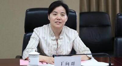 廣西副主席丁向群，調(diào)任安徽省委常委、組織部部長，曾任國開行副行長(丁向群簡歷)
