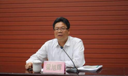 梁旭輝簡歷：廣西自治區(qū)黨委第四巡視組組長梁旭輝，曾任柳州市委副書記，崇左市委常委、常務副市長、紀委書記