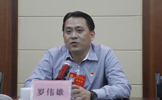 羅偉雄簡歷：梧州市委常委、政法委書記羅偉雄，曾任岑溪市委書記
